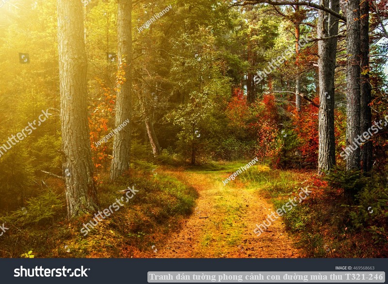 Tranh dán tường phong cảnh con đường mùa thu T321-246